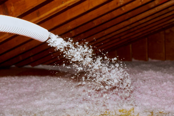 Best Energy Efficiency Insulation in Calhoun Falls, SC